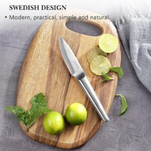 PAUDIN Paring Knife, 3.5 Inch High Carbon German Stainless Steel Kitchen Knife, Super Sharp Fruit Knife with Ergonomic Hollow Handle, for Peeling, Trimming, and Garnishing Fruit and Vegetable