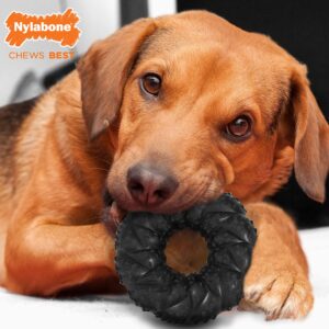 Nylabone Strong Max Chew Braided Ring Chew Toy for Dogs, Beef, Medium/Wolf - Up to 35 lbs. (1 Count)