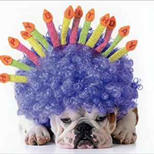 Pictura Bulldog, Purple Wig and Candles Humorous / Funny Birthday Card