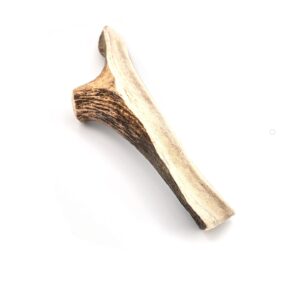 little loyals 100% natural grade a premium split deer antler chew for dogs | long-lasting dental health treat | ideal for aggressive chewers dog breeds (extra large)