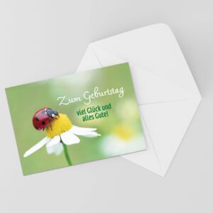 Burg Street Creations German Birthday Card - Zum Geburtstag Viel Glück und Alles Gute (Ladybug on a Daisy)