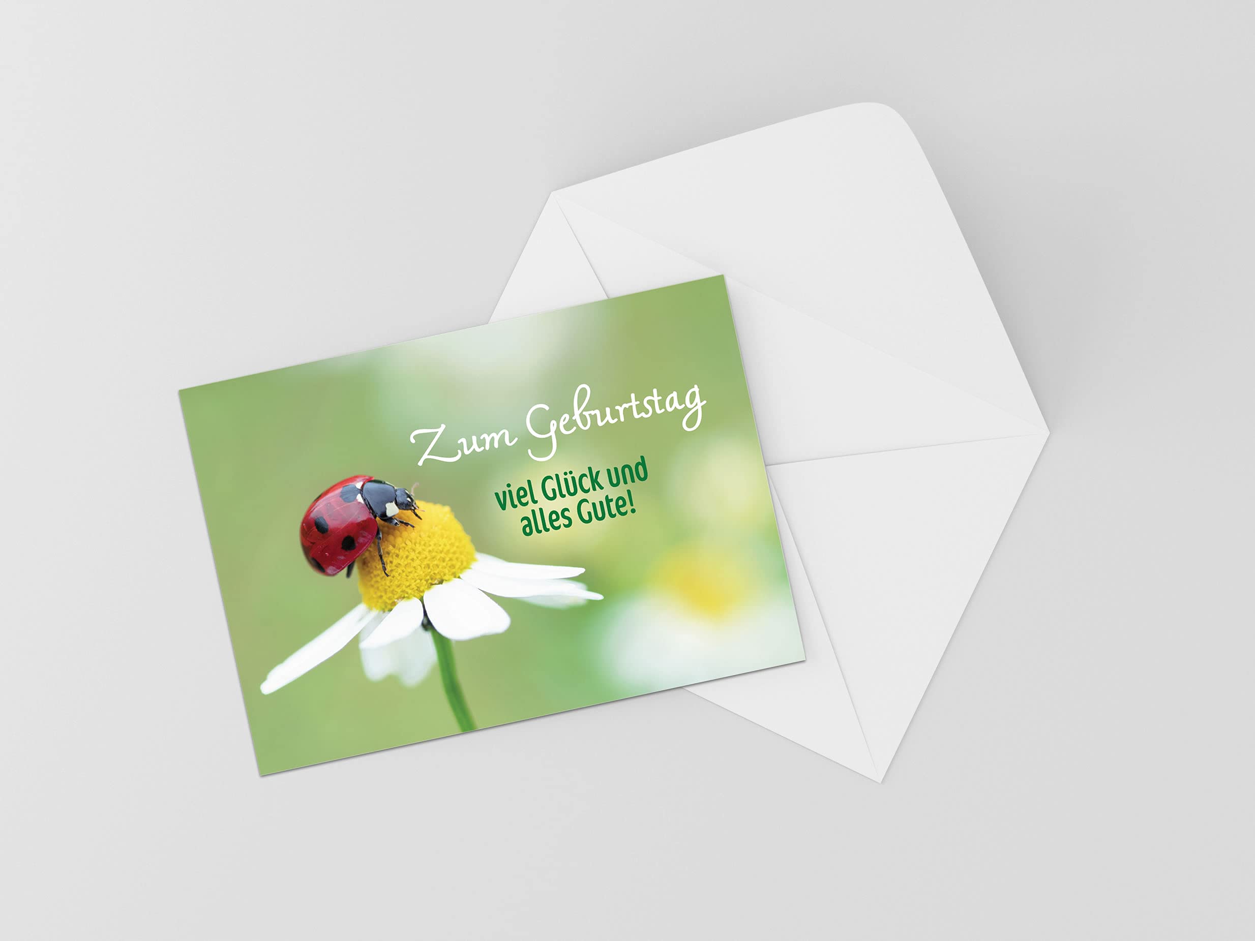 Burg Street Creations German Birthday Card - Zum Geburtstag Viel Glück und Alles Gute (Ladybug on a Daisy)