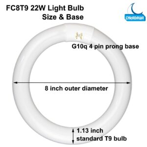 CHKADAWA Circular Bulb FC8T9/DL, 8 Inch T9 22W Circline Fluorescent Light Bulbs, Replacement Round Fluorescent Lamp Tube, Bright Daylight 6400K 1250 Lumens, G10q 4 Pin Base, 2 Pack