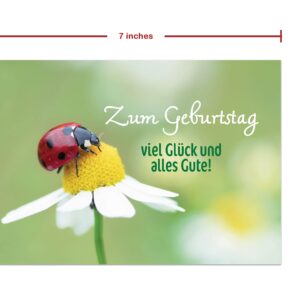 Burg Street Creations German Birthday Card - Zum Geburtstag Viel Glück und Alles Gute (Ladybug on a Daisy)