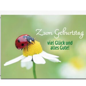 Burg Street Creations German Birthday Card - Zum Geburtstag Viel Glück und Alles Gute (Ladybug on a Daisy)