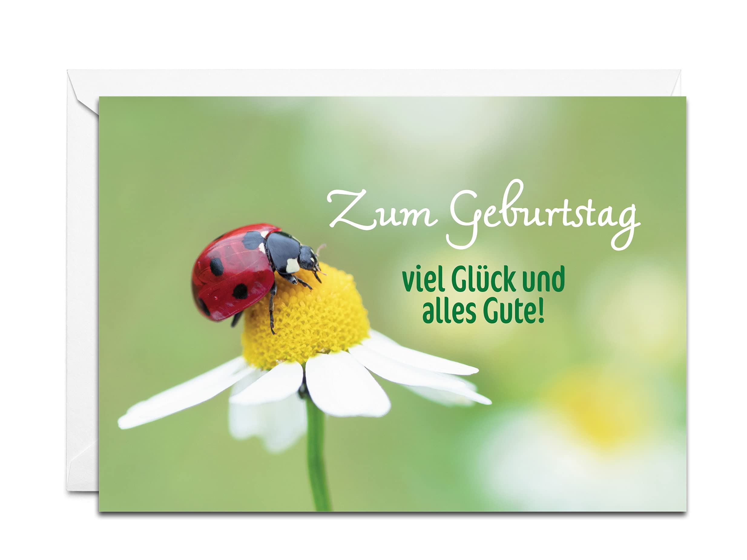 Burg Street Creations German Birthday Card - Zum Geburtstag Viel Glück und Alles Gute (Ladybug on a Daisy)