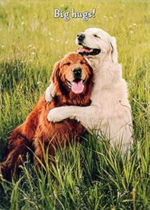 avanti press golden retrievers hugging cute dogs birthday card