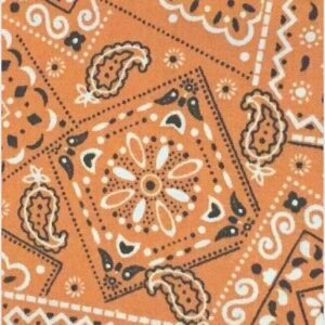 Fabric For Crafts, Orange - Blazin' Bandana 100% cotton fabric by the yard (36 x 44) inches Lk#205U, For crafting, sewing & quilting, Crafts, Quilting - by Lukas Winges