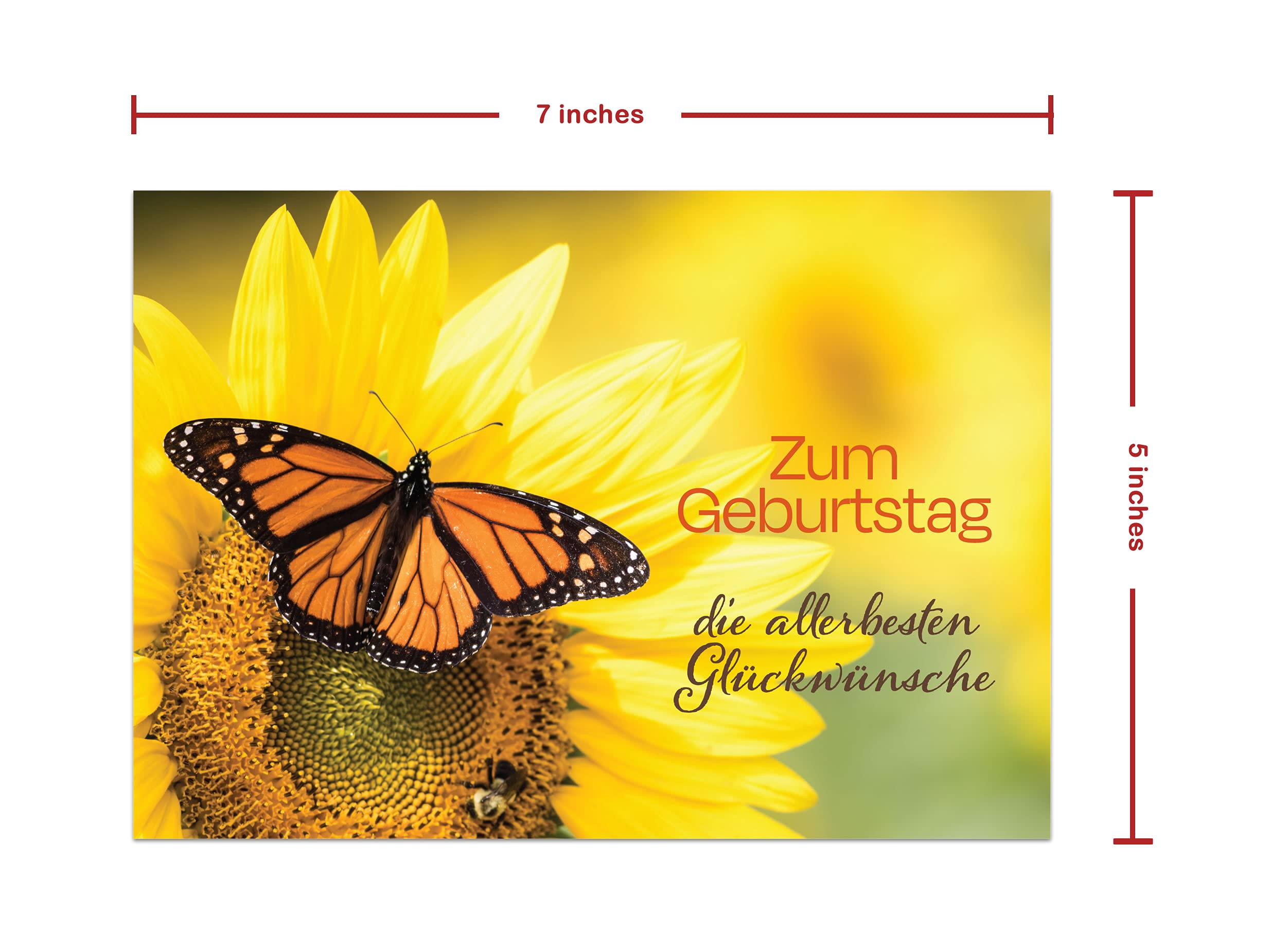 Burg Street Creations German Birthday Card - Zum Geburtstag die Allerbesten Gluckwunsche (Monarch Butterfly on a Sunflower)