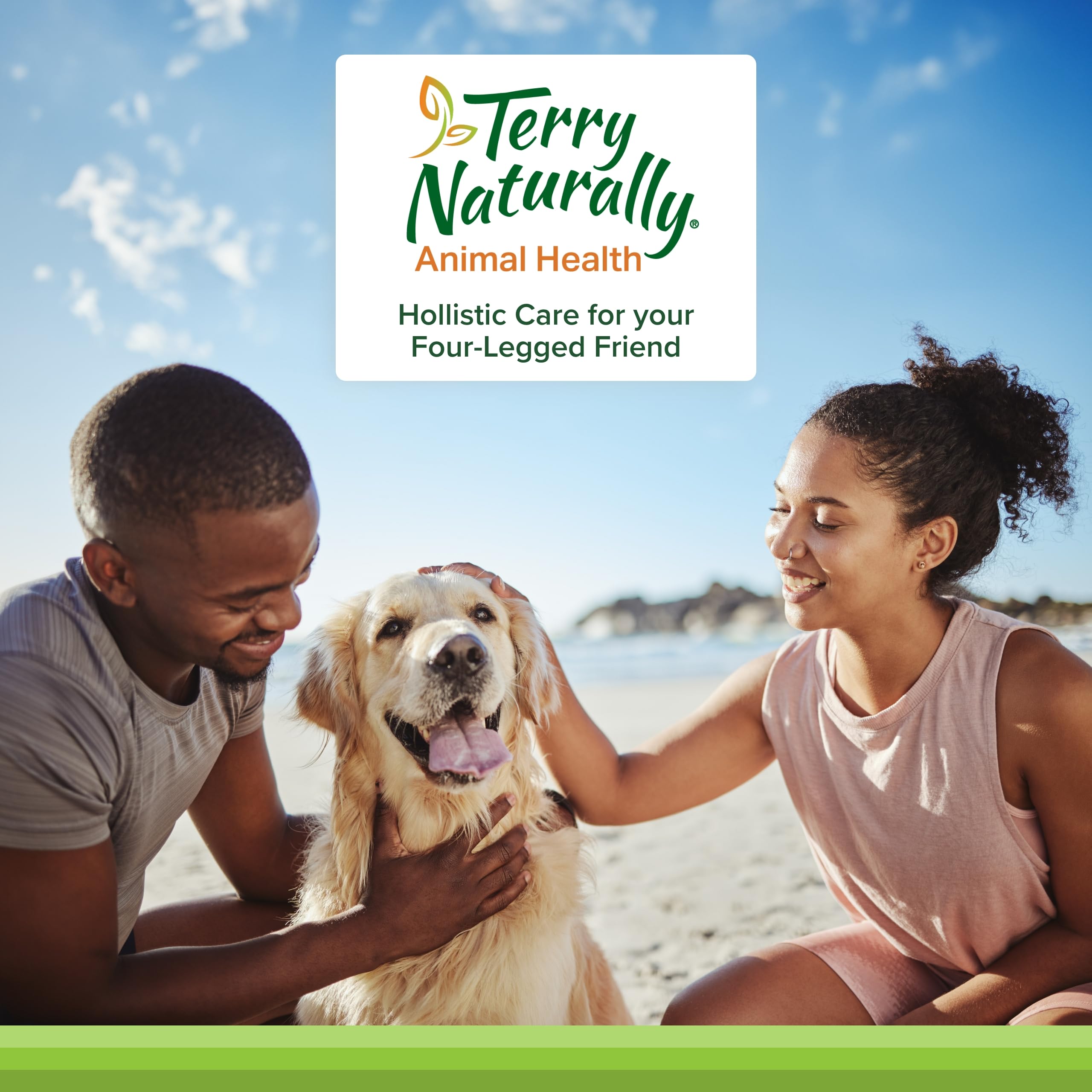 Terry Naturally Animal Health Bladder Control - 30 Capsules - 100 mg Angelica - Bladder Health & Urinary Tract Support for Dogs - Non-GMO, Canine Only - 30 Servings