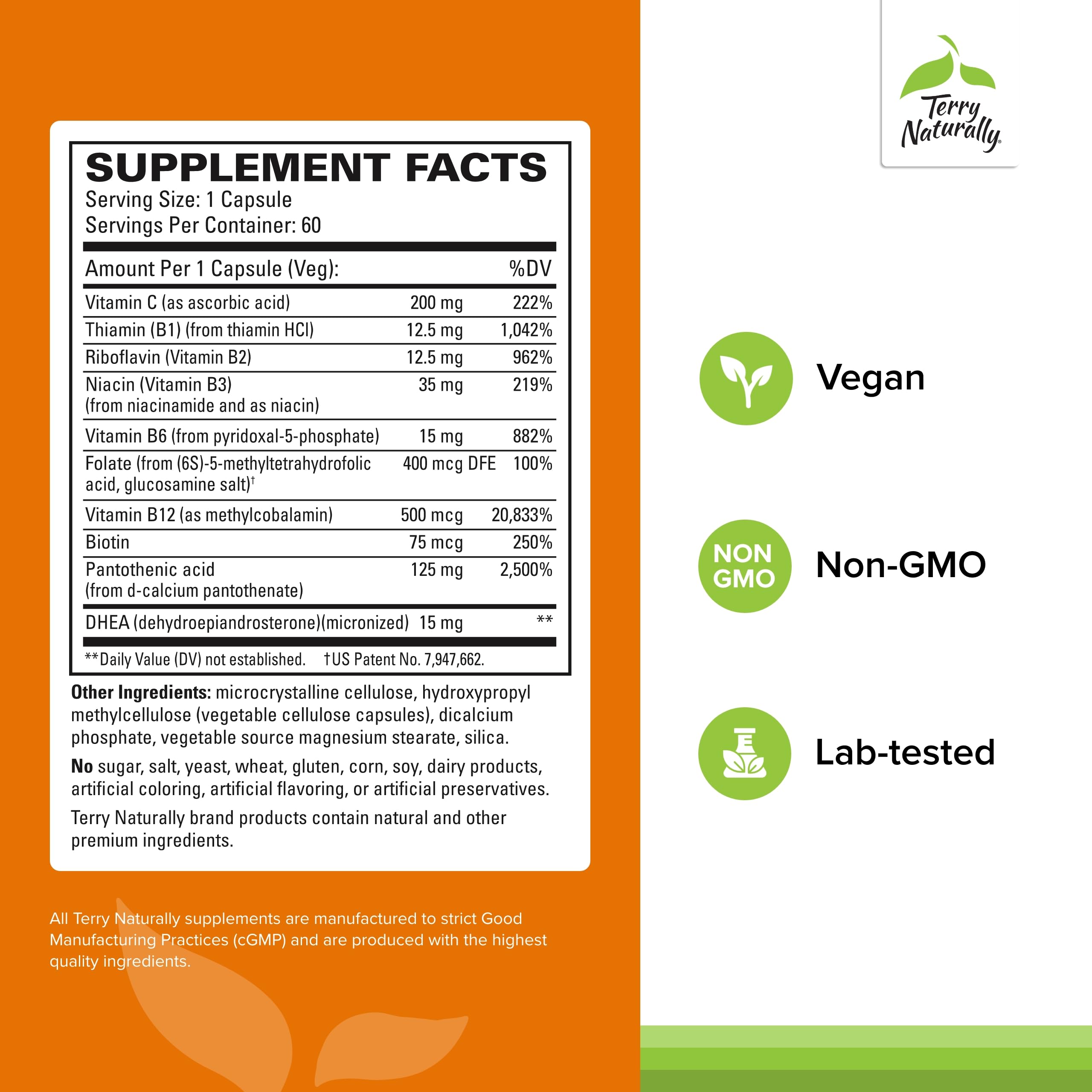 Terry Naturally Animal Health Bladder Control - 30 Capsules - 100 mg Angelica - Bladder Health & Urinary Tract Support for Dogs - Non-GMO, Canine Only - 30 Servings