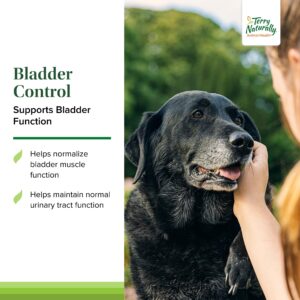 Terry Naturally Animal Health Bladder Control - 30 Capsules - 100 mg Angelica - Bladder Health & Urinary Tract Support for Dogs - Non-GMO, Canine Only - 30 Servings