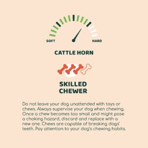 Little Loyals |100% Natural Cattle Horn |Dog Chew Toy |Long Lasting Treat |Fully Digestible |Gluten Free |Grain Free |Free Range| Grass Fed| for Aggressive Chewers |Dental Care (Small)