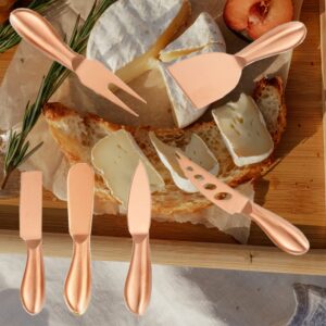 Cheese Knife Set 6 Piece, Stainless Steel Cheese Cutter, Cheese Spreader knife with Ergonomic Handle, Cheese Shaver and Fork for Holiday, Birthday, Wedding, Party