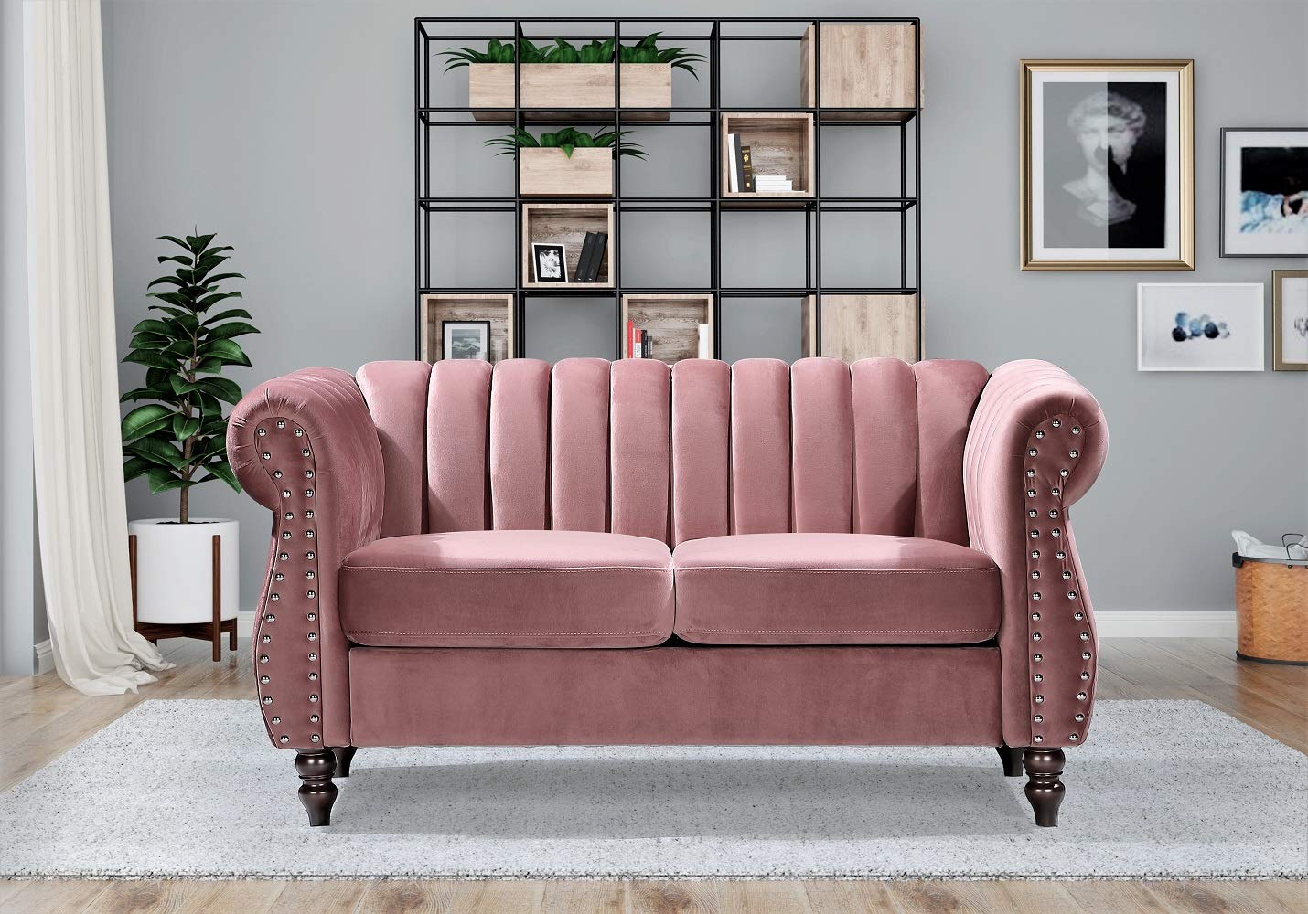 US Pride Furniture Chesterfield Rolled Arm Modern Style Fabric Rose Velvet Soft Living Room Loveseat with Removable Back Cushions & Solid Wood Support (S5644-5649) Sofas