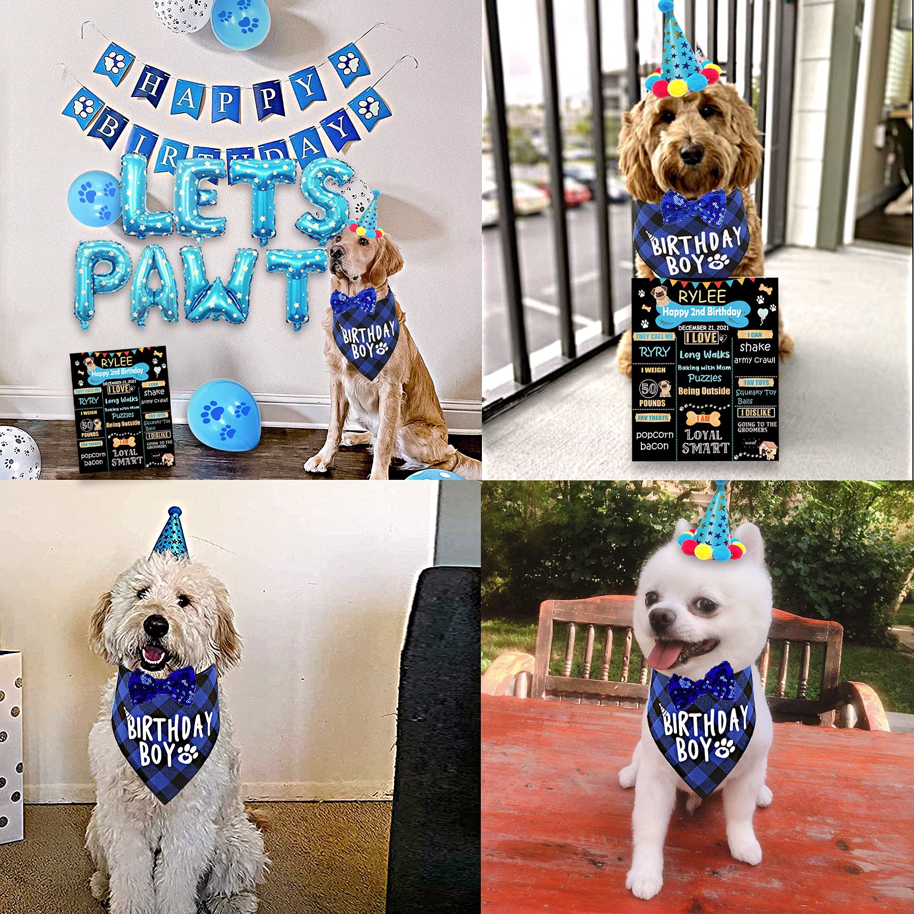 Dog Birthday Party Supplies, Dog Birthday Decorations Boy, Lets Pawty Balloons Banner, Dog Birthday Bandana, Dog Birthday Boy Hat Scarfs