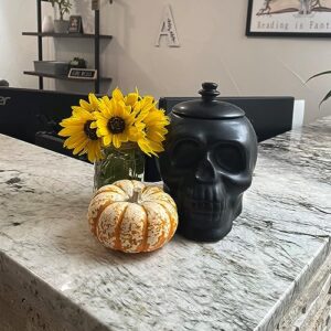 10 Strawberry Street Halloween Ceramic Skull Cookie Jar, 8.5", Matte Black