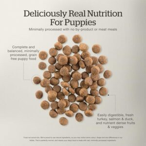 Now Fresh Grain-Free, Dry Dog Food, Real Meat and Fish, Turkey, Salmon and Duck Puppy Recipe, All Breed Size, 3.5 lb Bag