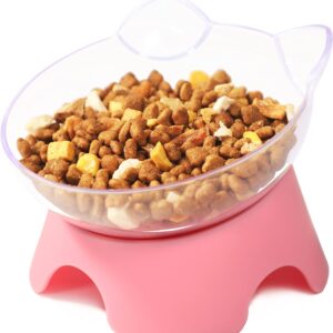 MILIFUN Raised Cat Food Bowls with Stand, Cat Dishes for Food or Water, Cat tilted bowl, Pet dish with stand