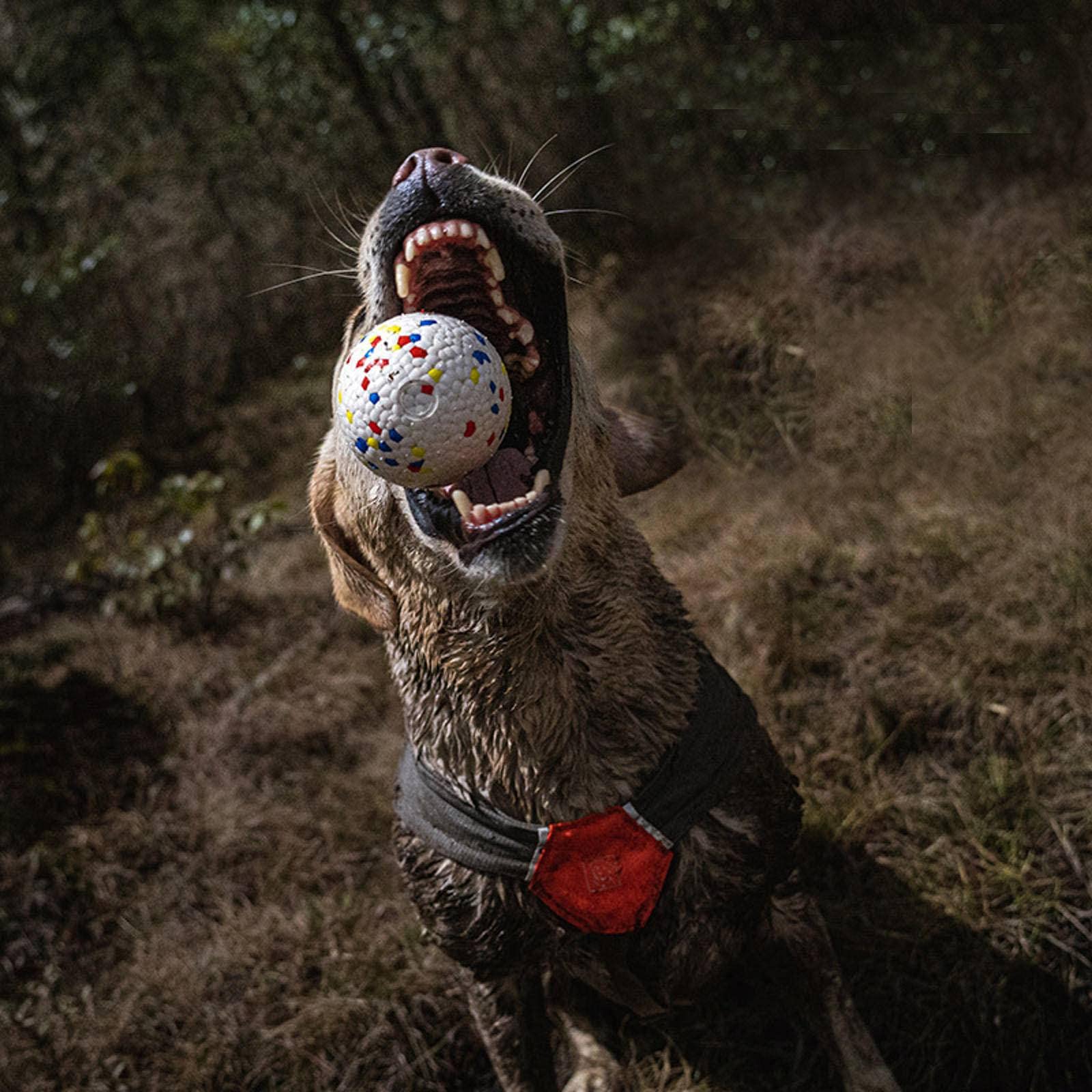 NC Pet Dog Toys are Resistant to Biting Teeth, Chewing Balls and Chewing to Promote Dental Health