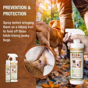 EcoVenger Flea & Tick Removal Spray 16oz for Dogs and Cats, Protects from Fleas, Mites, Ticks & Mosquitoes, eliminates+ Repels+ Housekeeping, Indoors/Outdoors, Plant-Based Formula Safe for Pets & Kids