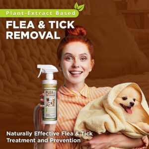 EcoVenger Flea & Tick Removal Spray 16oz for Dogs and Cats, Protects from Fleas, Mites, Ticks & Mosquitoes, eliminates+ Repels+ Housekeeping, Indoors/Outdoors, Plant-Based Formula Safe for Pets & Kids