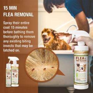 EcoVenger Flea & Tick Removal Spray 16oz for Dogs and Cats, Protects from Fleas, Mites, Ticks & Mosquitoes, eliminates+ Repels+ Housekeeping, Indoors/Outdoors, Plant-Based Formula Safe for Pets & Kids