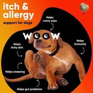 Dr Woow Allergy Relief & Itch Supplement for Dogs - with Omega 3 Wild Alaskan Salmon Oil and BettaBerries + YEA-SACC. Hot Spots, Anti Itch and Seasonal Allergies