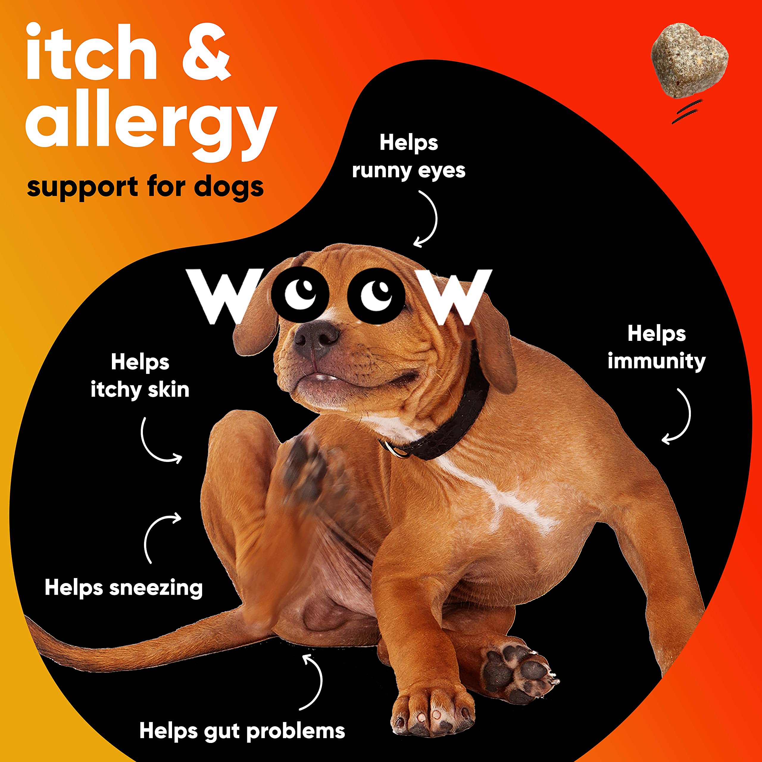 Dr Woow Allergy Relief & Itch Supplement for Dogs - with Omega 3 Wild Alaskan Salmon Oil and BettaBerries + YEA-SACC. Hot Spots, Anti Itch and Seasonal Allergies