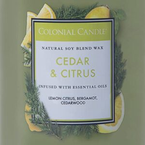 Colonial Candle Cedar & Citrus Scented Jar Candle, Classic Cylinders Collection, 2 Wick, Green, 19 oz - Up to 120 Hours Burn