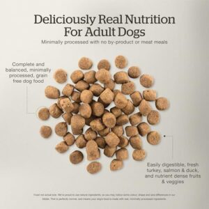 Now Fresh Grain-Free, Dry Dog Food, Real Meat and Fish, Turkey, Salmon and Duck Adult Recipe, All Breed Size, 3.5 lb Bag