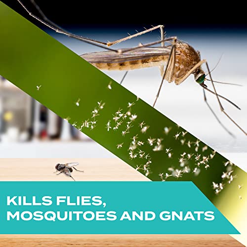 Stem Kills Flies, Mosquitoes And Gnats: Plant-Based Active Ingredient Bug Spray, Botanical Insecticide For Indoor And Outdoor Use; 10 fl oz (Pack Of 3)