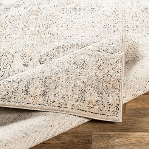 Mark&Day Area Rugs, 2x3 Geelbroek Traditional Tan/Ivory Area Rug, Beige Grey Black Carpet for Living Room, Bedroom or Kitchen (2' x 2'11")