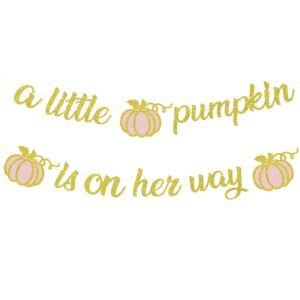 a little pumpkin is on her way baby shower banner fall baby shower decorations little pumpkin baby shower decorations pink pumpkin decorations for girl