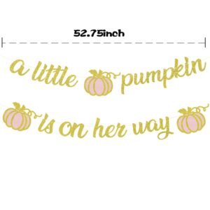 A Little Pumpkin is On Her Way Baby Shower Banner Fall Baby Shower Decorations Little Pumpkin Baby Shower Decorations Pink Pumpkin Decorations for Girl