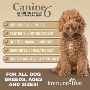 Immune-Tree Bovine Colostrum for Dogs & Puppies | Immune System Booster Supplement | Relief for Allergies, Skin Itch, & Hot Spots | Prebiotics & Probiotics Support Digestion | Made in USA (Small)