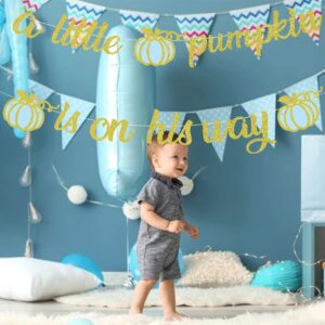 A Little Pumpkin is On His Way Banner,Little Pumpkin Banner,Little Pumpkin Baby Shower Decorations Boy,Pumpkin First Birthday Boy,Fall Baby Shower Decorations for Boy