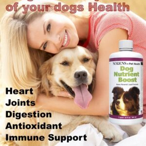 Multi vitamin liquid for dogs probiotics for dogs digestion liquid antioxidants for dogs immune support Salmon omega 3 fish oil liquid - liquid dog vitamins and minerals senior dog multivitamin liquid