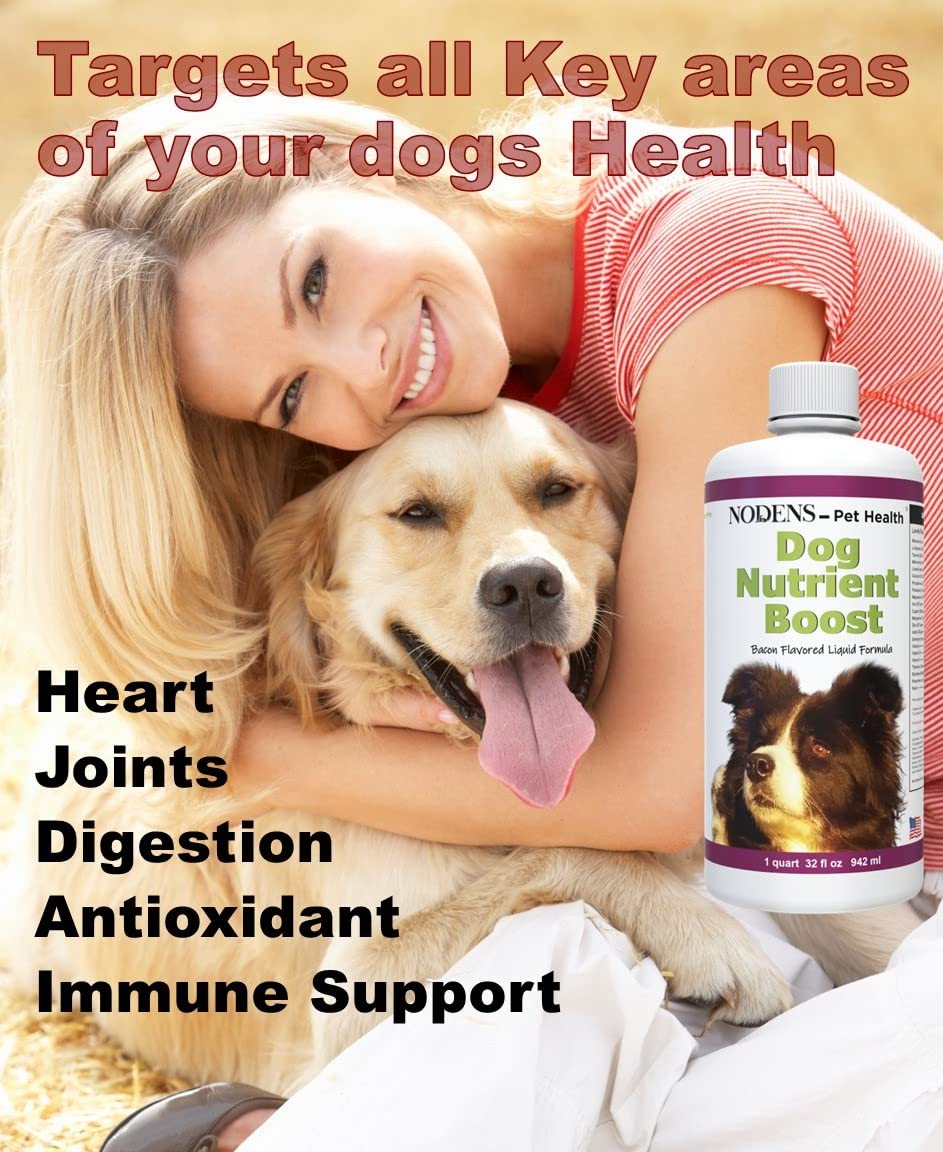 Multi vitamin liquid for dogs probiotics for dogs digestion liquid antioxidants for dogs immune support Salmon omega 3 fish oil liquid - liquid dog vitamins and minerals senior dog multivitamin liquid