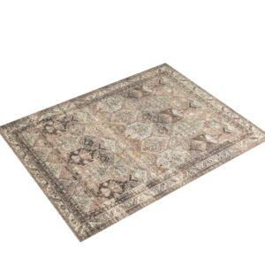 Loloi Amber Lewis Billie Collection, Clay & Sage 10'-0" x 14'-0" Area Rug – Antique & Distressed Accent Rugs for Living Room, Bedroom, Entryway & Hallway, No Shed High Traffic Area Home Decor Rug