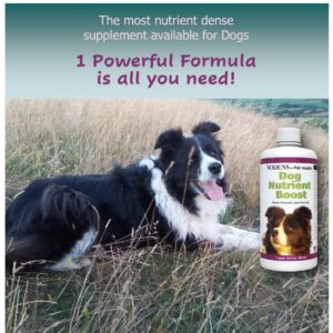 Multi vitamin liquid for dogs probiotics for dogs digestion liquid antioxidants for dogs immune support Salmon omega 3 fish oil liquid - liquid dog vitamins and minerals senior dog multivitamin liquid