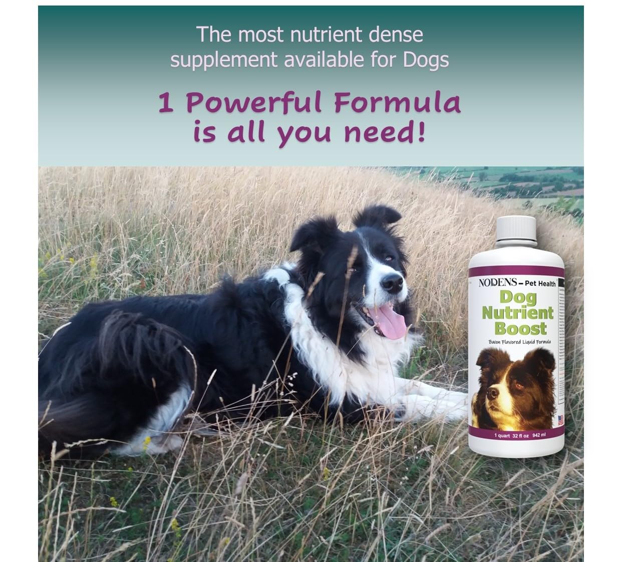 Multi vitamin liquid for dogs probiotics for dogs digestion liquid antioxidants for dogs immune support Salmon omega 3 fish oil liquid - liquid dog vitamins and minerals senior dog multivitamin liquid