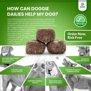 Doggie Dailies Bundle - Probiotics & Bladder Support Soft Chews