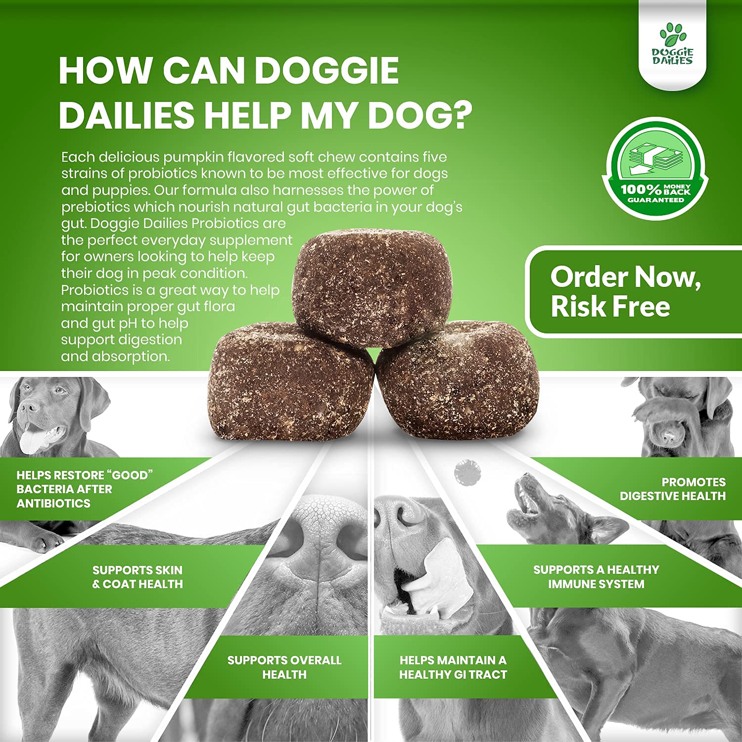 Doggie Dailies Bundle - Probiotics & Bladder Support Soft Chews