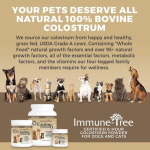 Immune-Tree Bovine Colostrum for Dogs & Puppies | Immune System Booster Supplement | Relief for Allergies, Skin Itch, & Hot Spots | Prebiotics & Probiotics Support Digestion | Made in USA (Small)