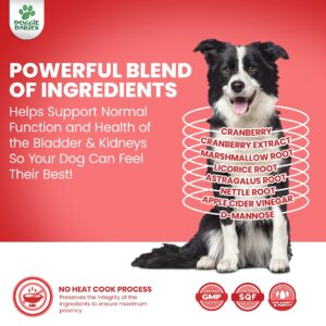 Doggie Dailies Bundle - Probiotics & Bladder Support Soft Chews