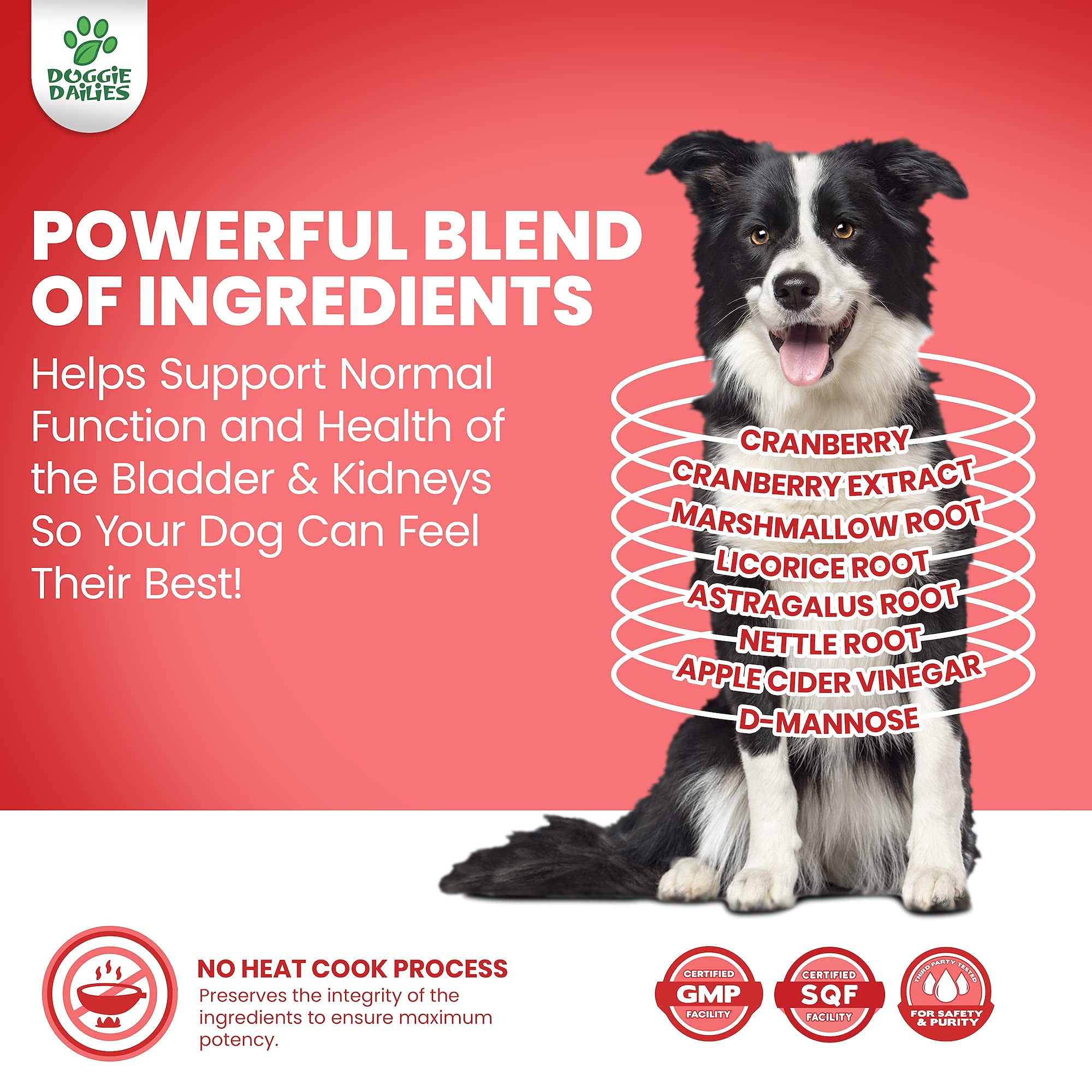 Doggie Dailies Bundle - 5-in-1 Multivitamin & Bladder Support Soft Chews