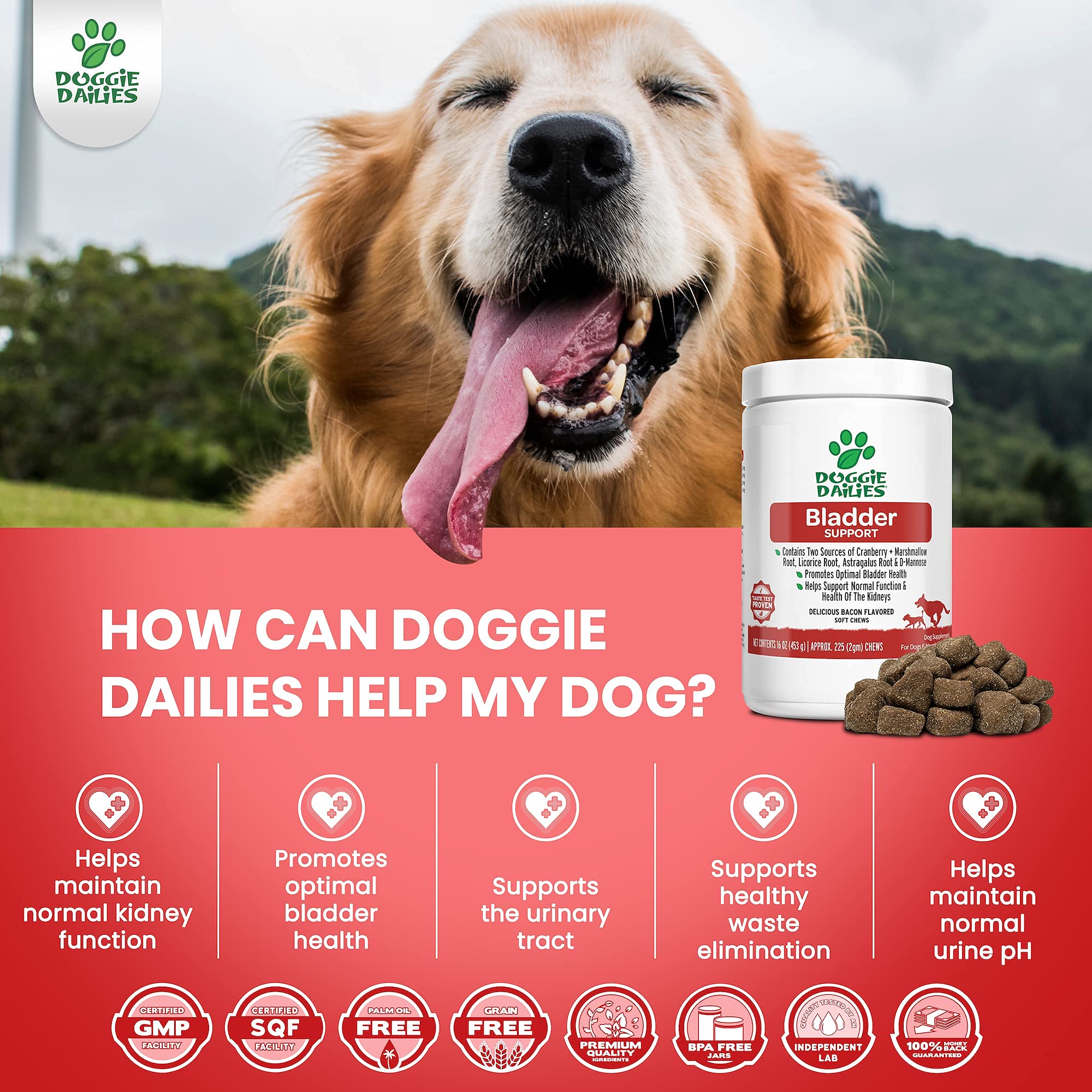 Doggie Dailies Bundle - Probiotics & Bladder Support Soft Chews