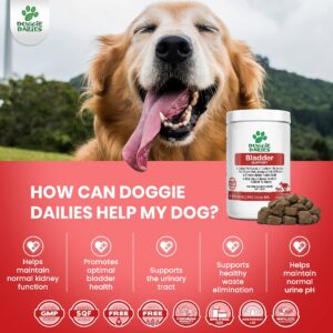 Doggie Dailies Bundle - 5-in-1 Multivitamin & Bladder Support Soft Chews