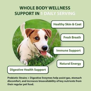 MacroLife Naturals MacroPets Greens Superfood Supplement Powder Topper for Dog Cat Small Mammal, Natural Nutrition Boost Probiotics Digestive Enzymes Vitamin E - Immune Gut Health & Energy - 6.35oz